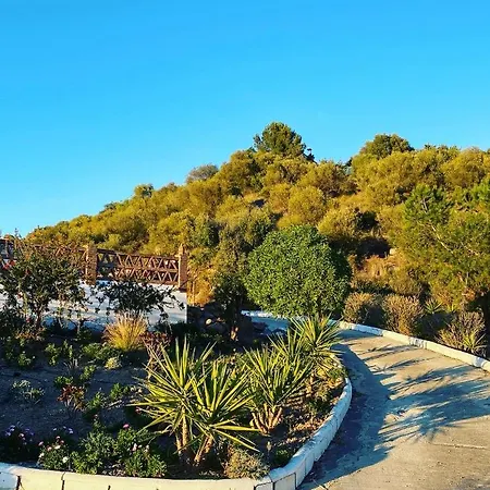 Azafran * Malaga