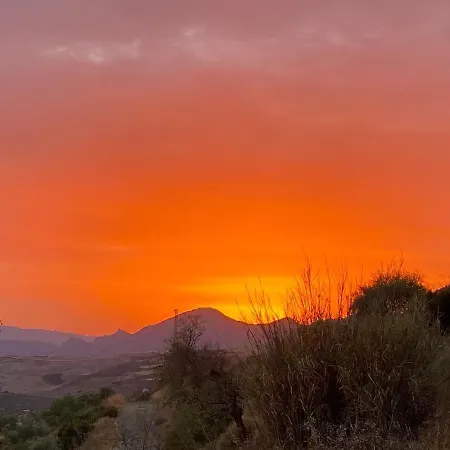 Azafran * Malaga