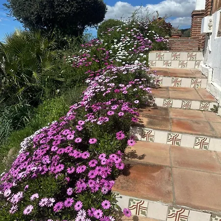Azafran Màlaga