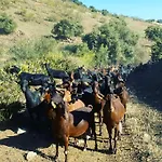 Βίλα Azafran Μάλαγα